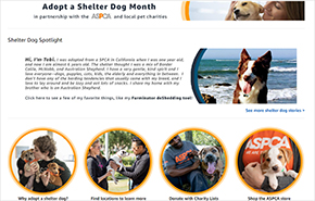 Adopt a Shelter Dog Month with Amazon Pets Event storefront screenshot