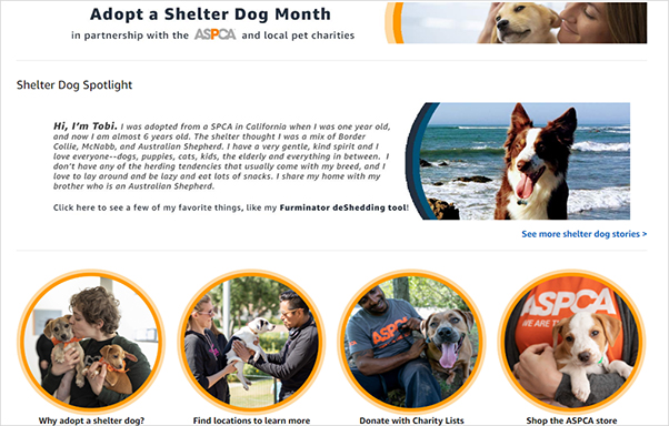 Screenshot of Amazon Pet's Adopt a Shelter Dog Month event page
