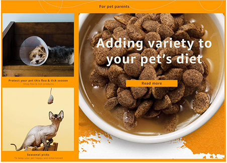 Screenshot of pet care tip component